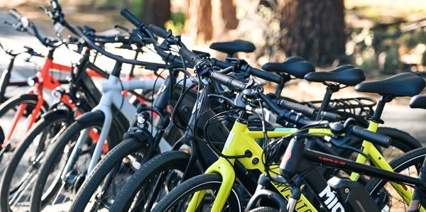 Electric bikes